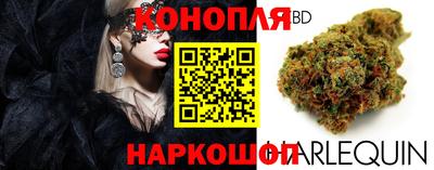гидра Гусиноозёрск