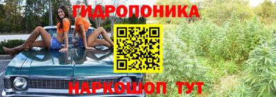 гидра Гусиноозёрск