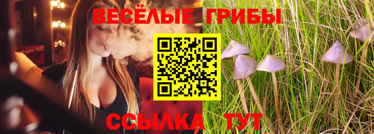 Псилоцибиновые грибы Magic Shrooms  Псилоцибиновые грибы мухоморы  Вход с VPN  Нальчик 
