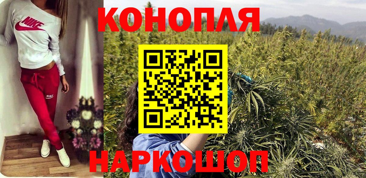 Бошки Шишки SATIVA & INDICA  Канабис тримм  Нальчик  Вход с VPN  Канабис тримм 